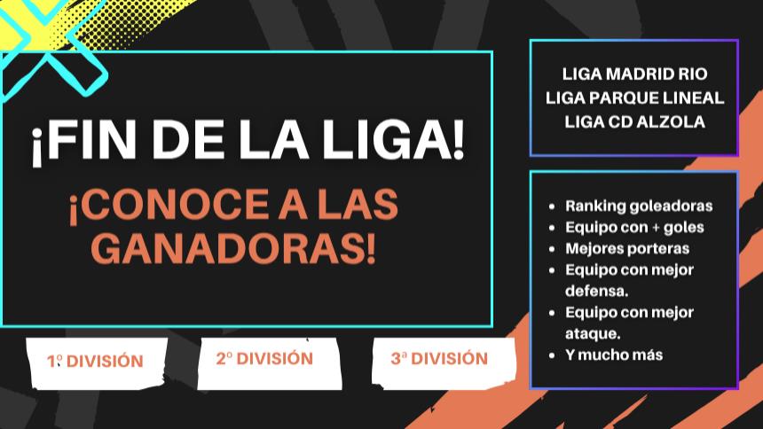 RESUMEN LIGAS TEMPORADA 2025/26